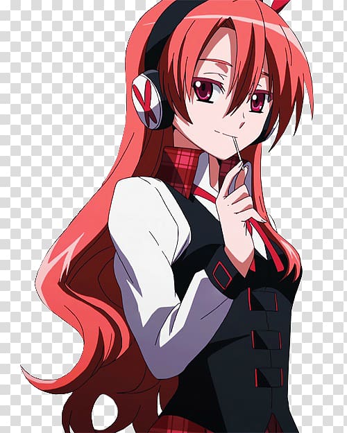 Divine Gate, Akame Ga Kill, Otaku Anime, Manga Comics, - Wiki - Free  Transparent PNG Clipart Images Download