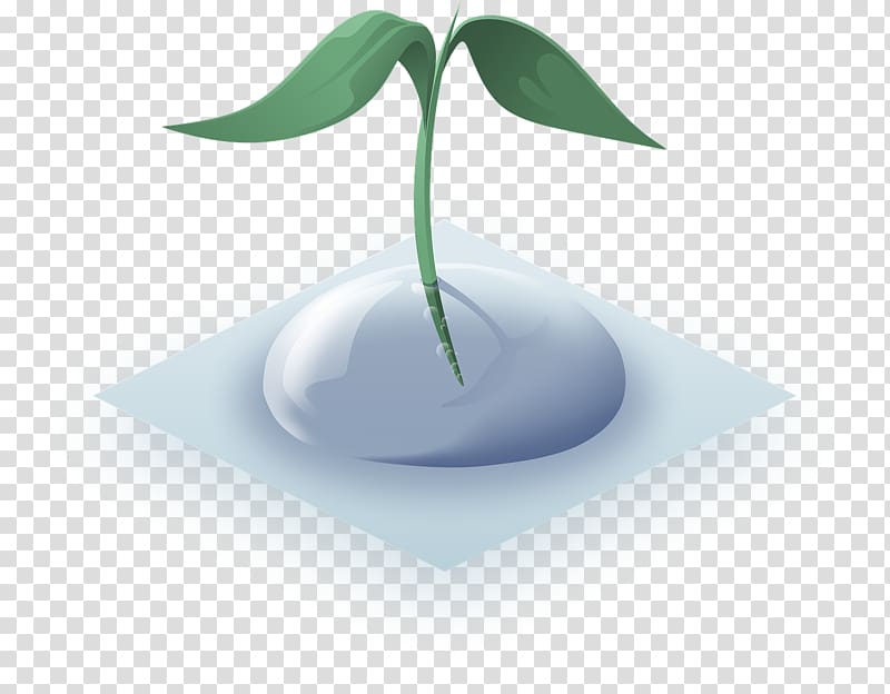 Water Drop Aquatic Plants Golgi apparatus, plant transparent background PNG clipart