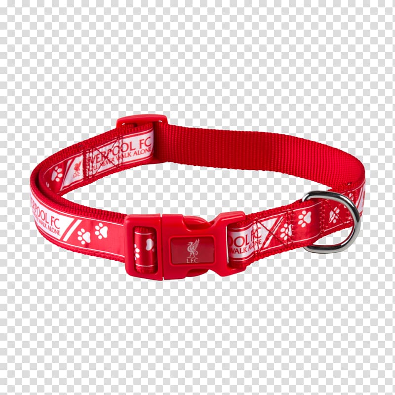 Liverpool F.C. Dog collar Dog's fashion Scottish Terrier, front collar roll transparent background PNG clipart