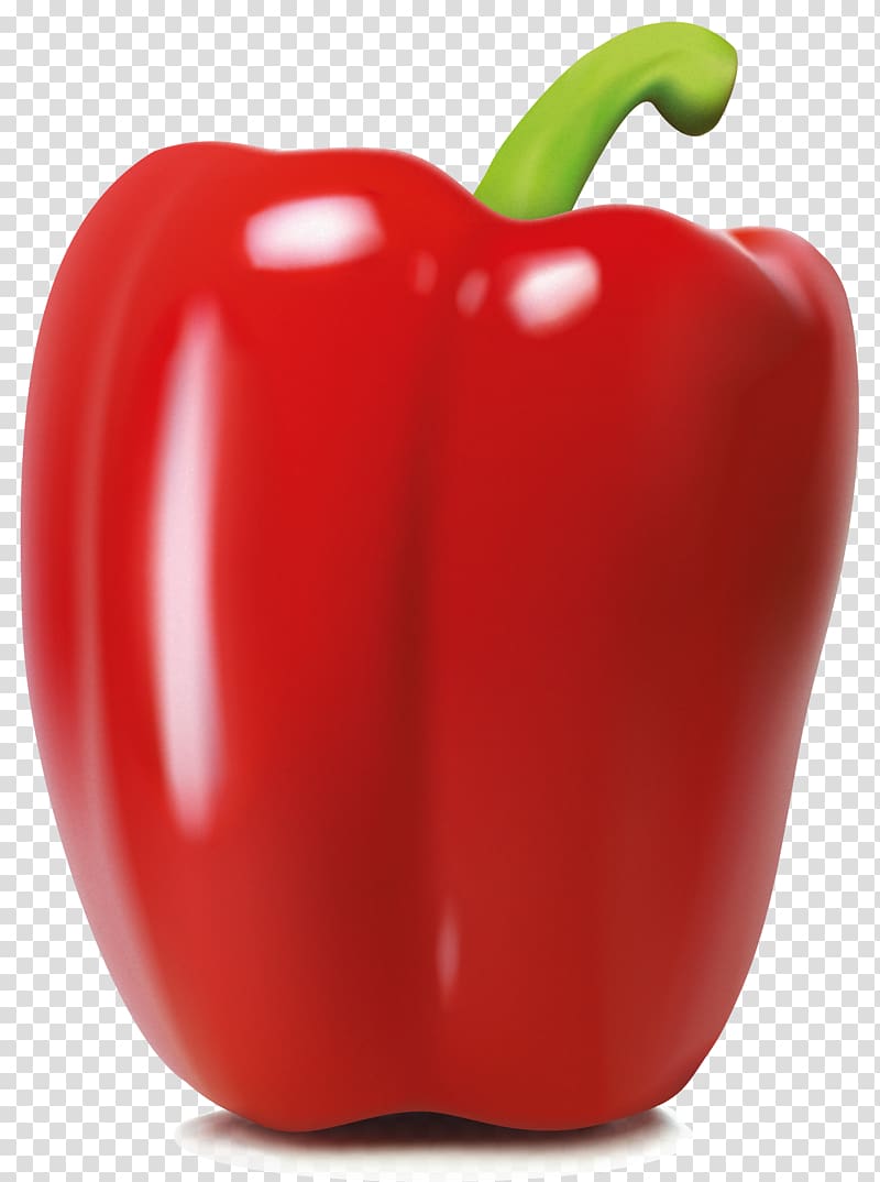 Chili pepper Red bell pepper Pimiento, hand painted real pepper transparent background PNG clipart