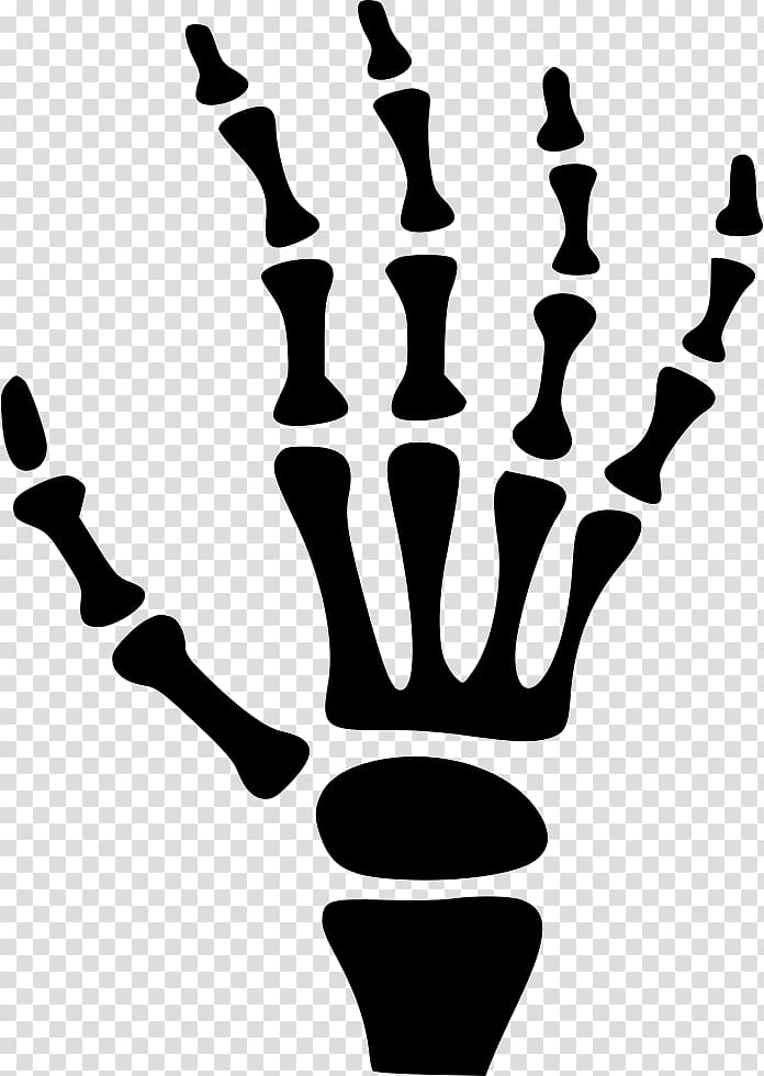 Carpal bones Human skeleton Hand, hand transparent background PNG clipart