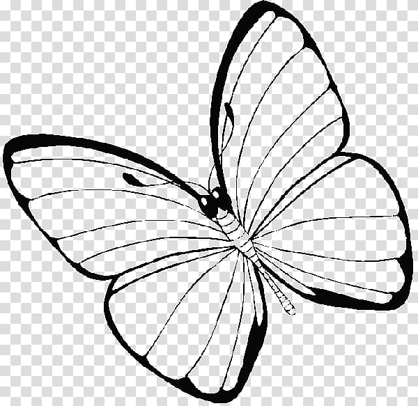 Monarch butterfly Coloring book Drawing, butterfly transparent background PNG clipart