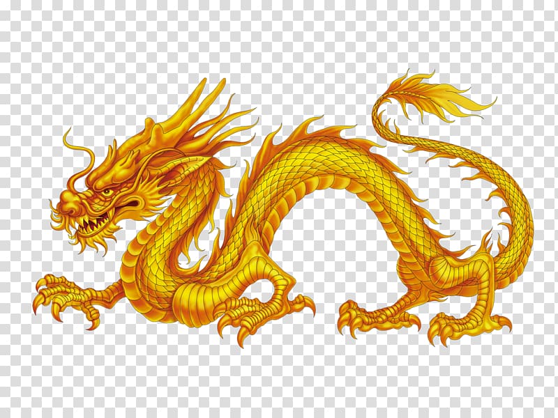 China Chinese dragon Japanese dragon, Dragon, orange dragon illustration transparent background PNG clipart