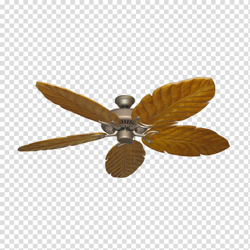 Ceiling Fans Electric Motor House Fan Transparent Background Png