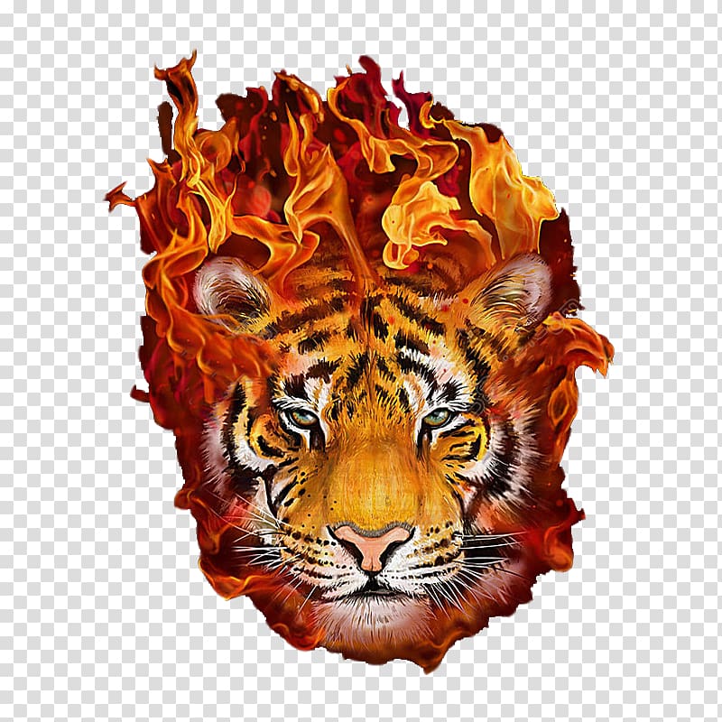 Baby Tigers Art Painting Flame, Fire tiger transparent background PNG clipart