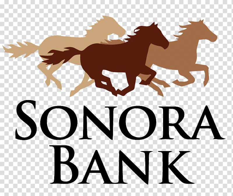 The First National Bank of Sonora The First National Bank of Sonora Loan Officer Sonora Bank, bank transparent background PNG clipart