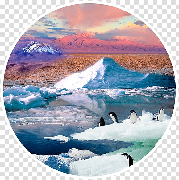 Arctic Polar ice cap Polar regions of Earth Glacier Sea ice, Global transparent background PNG clipart