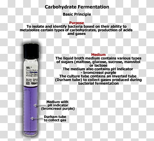 Brand Font, design transparent background PNG clipart thumbnail