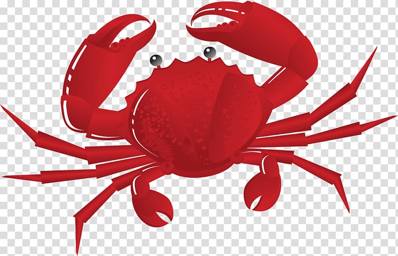 Crab transparent background PNG clipart