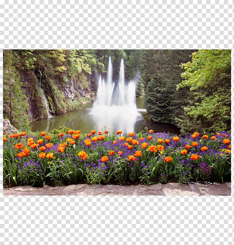 Botanical garden Water resources Waterfall Lawn, others transparent background PNG clipart