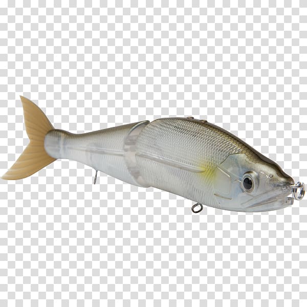 Milkfish Fishing Baits & Lures Fish products, fish transparent background PNG clipart