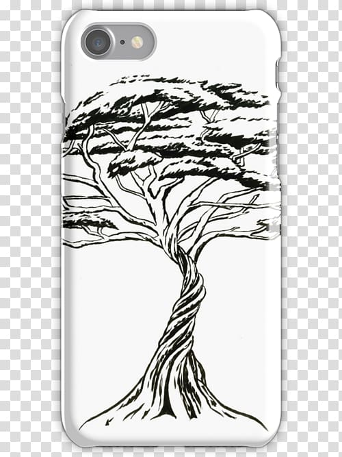 Bonsai Drawing Tree Vachellia drepanolobium Vachellia tortilis, Iphone illustration transparent background PNG clipart