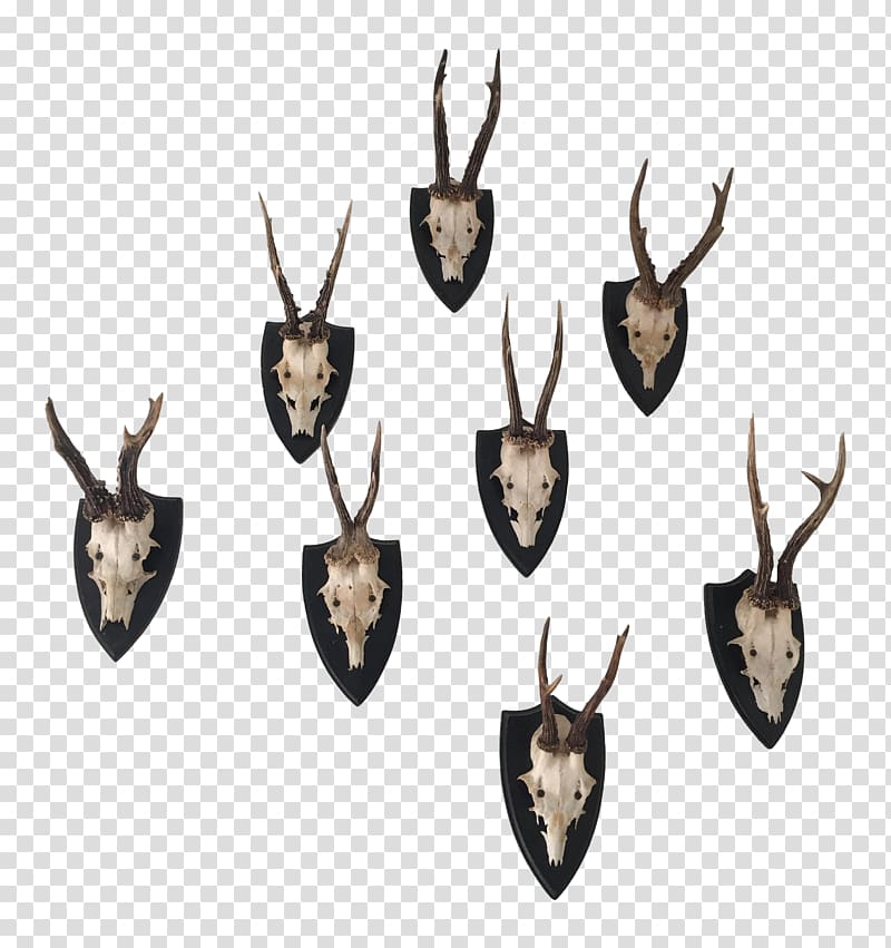 Roe deer Antler Black Forest Elk, antlers transparent background PNG clipart