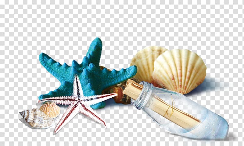 blue and white starfishes, Seashell Bottle, Shells and starfish drift bottles transparent background PNG clipart
