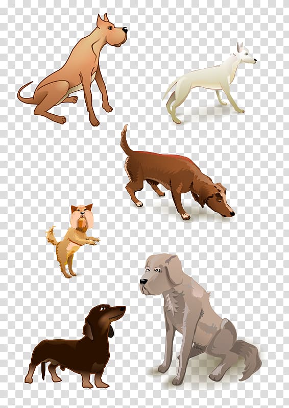Dachshund Puppy Bull Terrier Pet sitting , lovely puppy transparent background PNG clipart