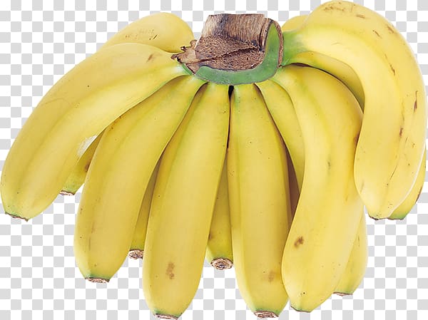 Saba banana Food Fruit Cooking banana, banana transparent background PNG clipart