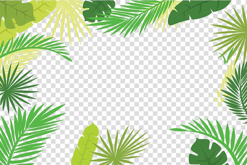 Arecaceae Text Branch Leaf Illustration, Palm leaf border, green leaves illustration transparent background PNG clipart