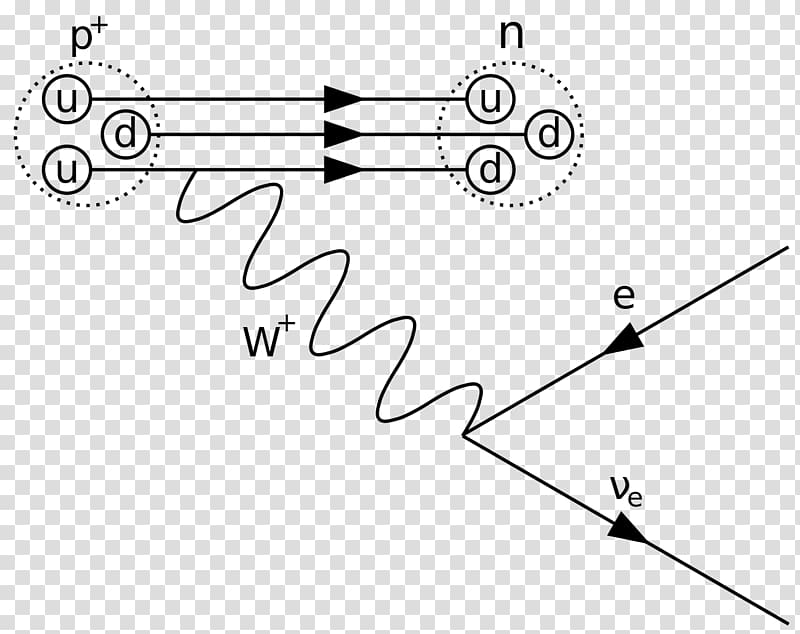 Feynman diagram Beta decay Physics Beta particle, caries transparent background PNG clipart