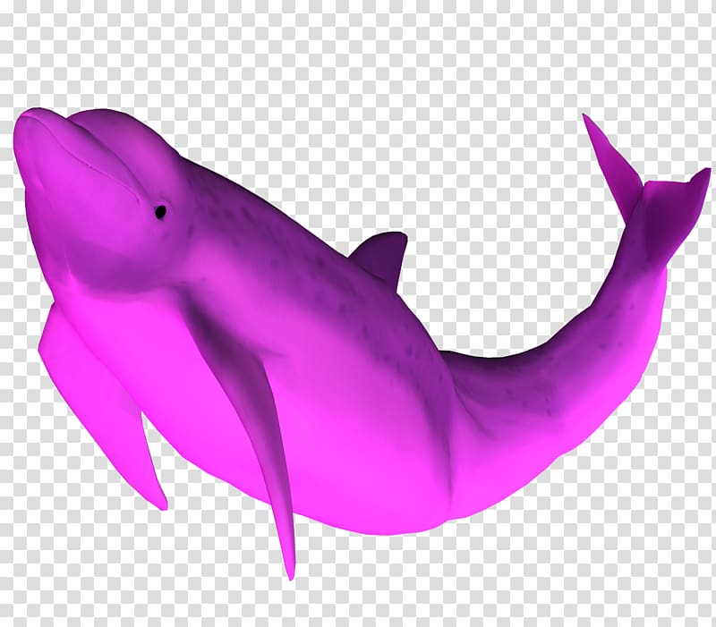 Amazon river dolphin Pink+Dolphin Clothing Desktop , dolphin transparent background PNG clipart
