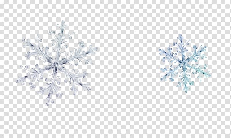 ice frost , Snowflake Icon, snowflake transparent background PNG clipart