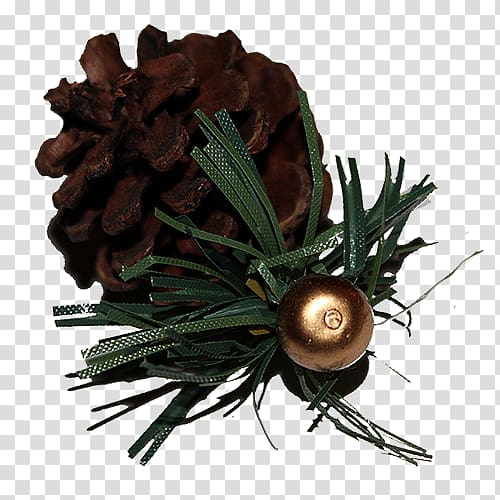 Pine nut Conifer cone , Brown pine cone transparent background PNG clipart