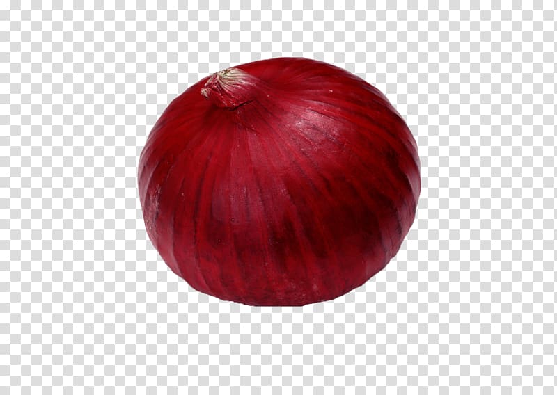 Red onion Maroon, onion transparent background PNG clipart