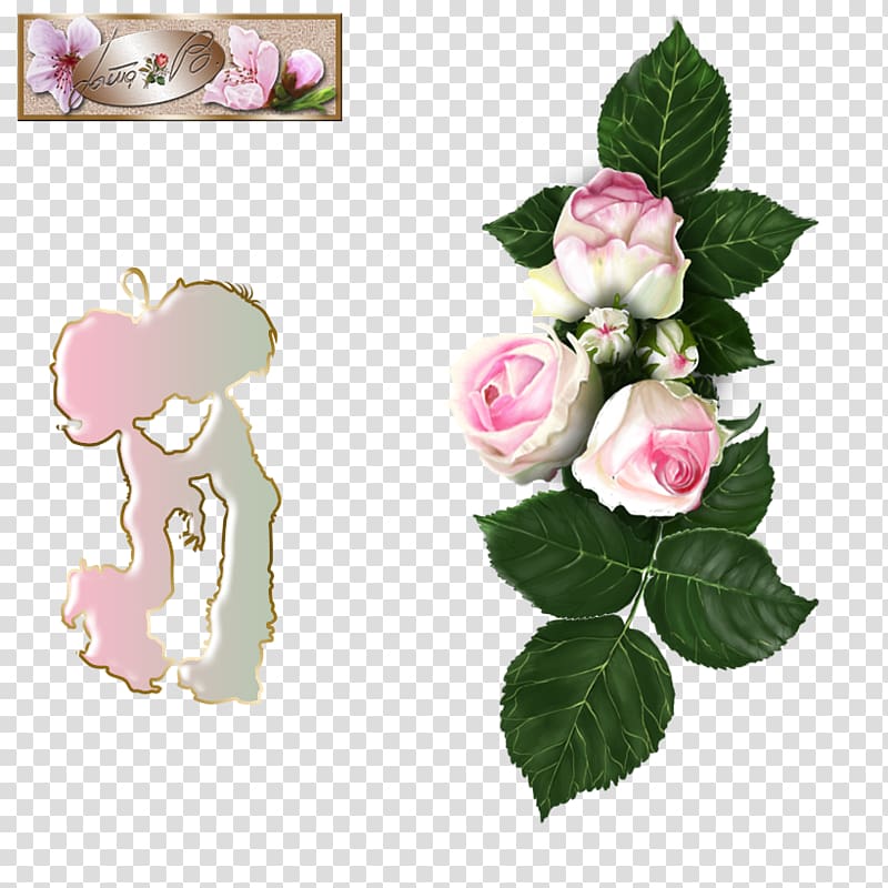 Garden roses Cabbage rose Floral design Cut flowers, creative back to school elements transparent background PNG clipart