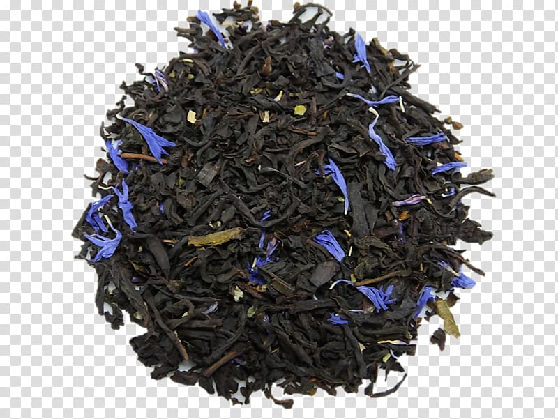 Nilgiri tea Dianhong Golden Monkey tea Cobalt blue, tea transparent background PNG clipart