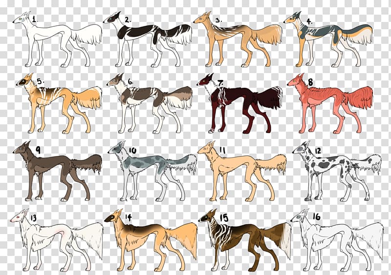 Dog breed Mustang Freikörperkultur, Mixed Breed transparent background PNG clipart