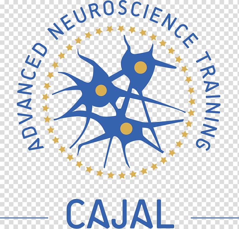 Federation of European Neuroscience Societies School Brain Education, neuroscience human brain logo transparent background PNG clipart
