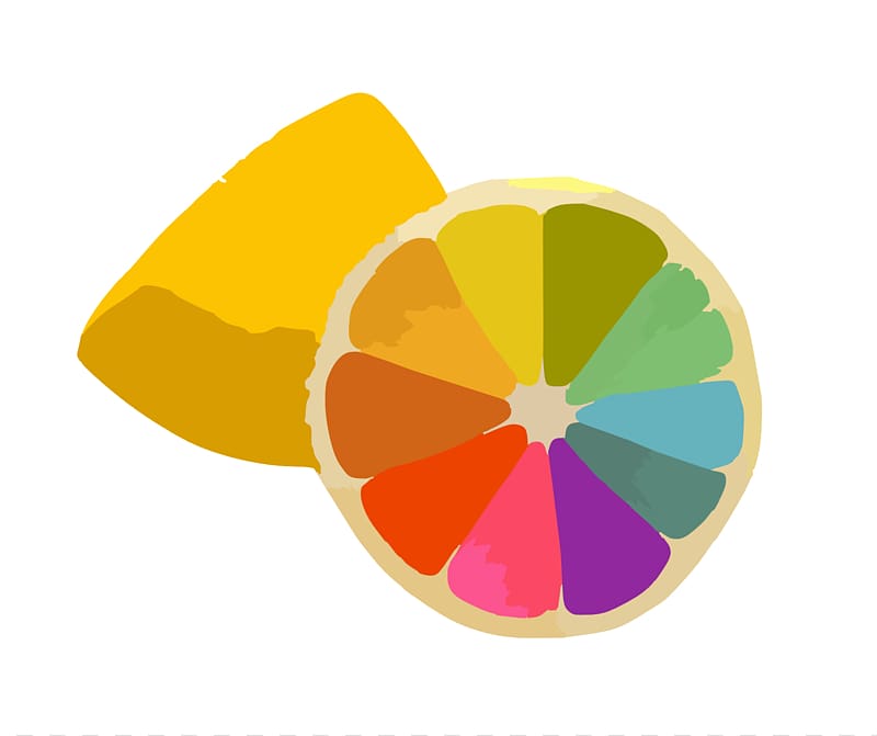 Color wheel Color scheme Color theory, Colorful orange petals transparent background PNG clipart