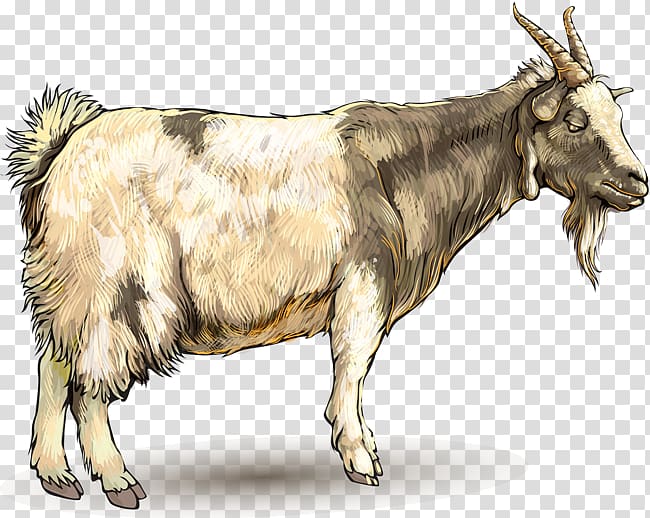 Goat Ahuntz Drawing Animal, goat transparent background PNG clipart