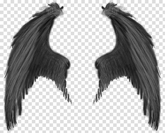 gray angel wings illustration, Demon Devil Angel, Wings transparent background PNG clipart