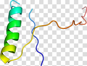 Line Point , line transparent background PNG clipart thumbnail