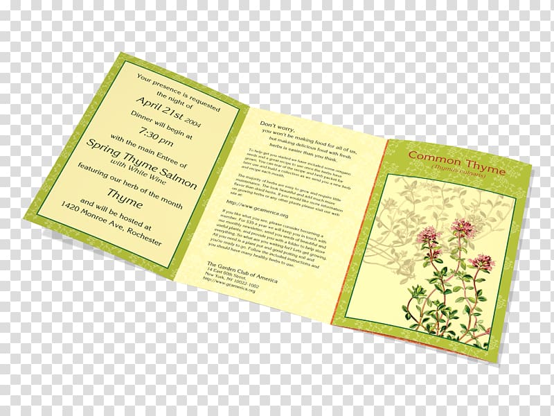 Oregano Herb Thyme Garden Club of America, oregano transparent background PNG clipart