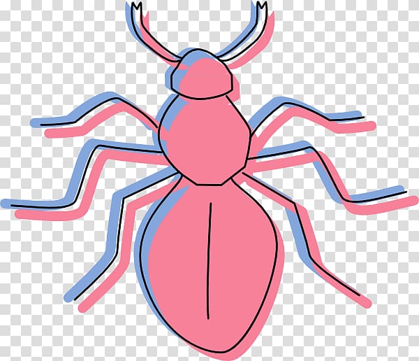 Ant graphics Cartoon, carpenter ant transparent background PNG clipart