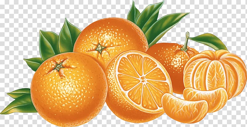 Citrus × sinensis Orange , Orange transparent background PNG clipart