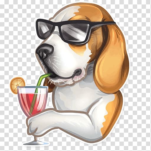 Beagle Puppy Telegram Sticker Como, puppy transparent background PNG clipart