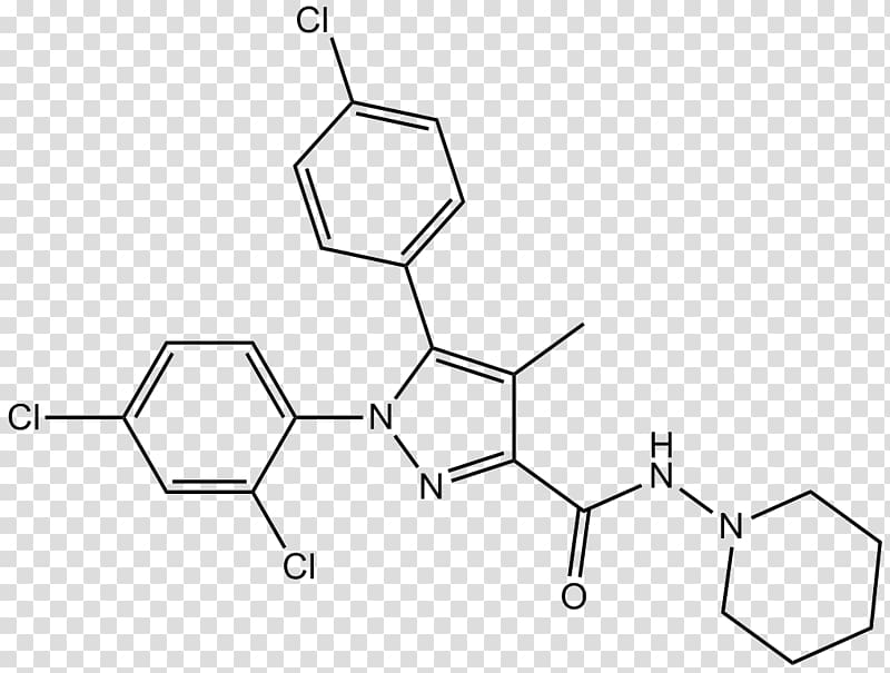 Rimonabant Cannabinoid receptor type 1 Cannabinoid receptor type 2, others transparent background PNG clipart