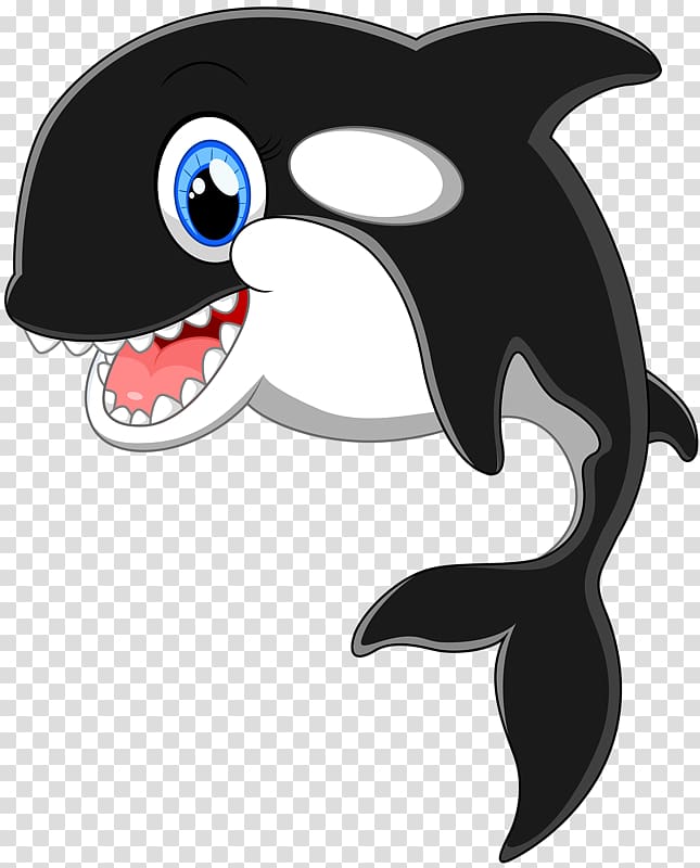 Cartoon Killer whale , Black Dolphin transparent background PNG clipart