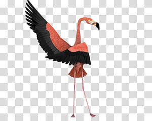 Dance Art Flamingo Bird , flamingo transparent background PNG clipart thumbnail