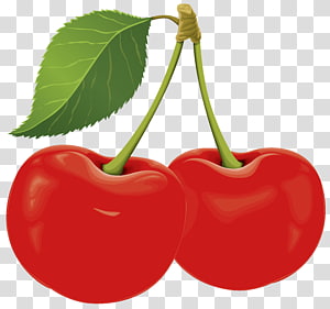 Sour Cherry , clip transparent background PNG clipart thumbnail