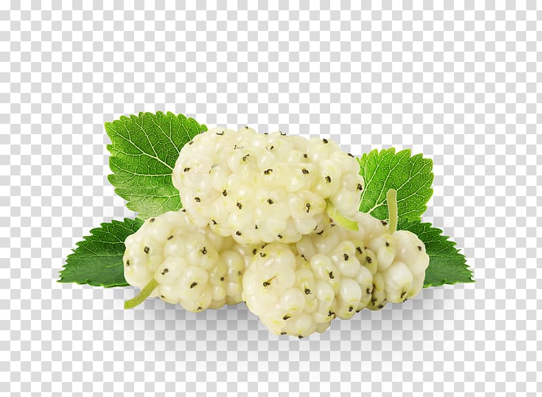 Organic food White mulberry Food drying Extract, health transparent background PNG clipart