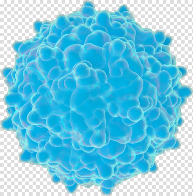 Rhinovirus Zika virus Zika fever Computer virus, others transparent background PNG clipart