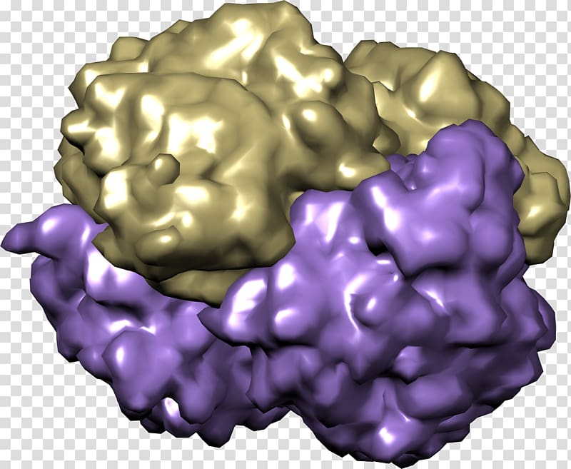 Hemoglobin Organism Chemist Oxygen Purple, others transparent background PNG clipart