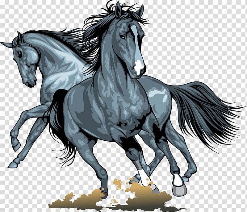 Wild horse , horse transparent background PNG clipart