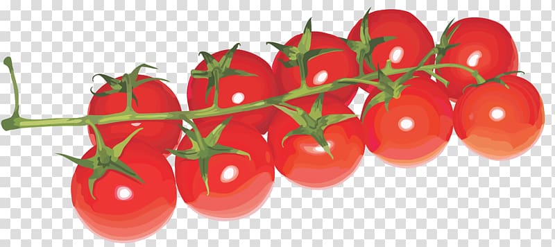 Cherry tomato Tomato juice , Tomatoes cherry transparent background PNG clipart