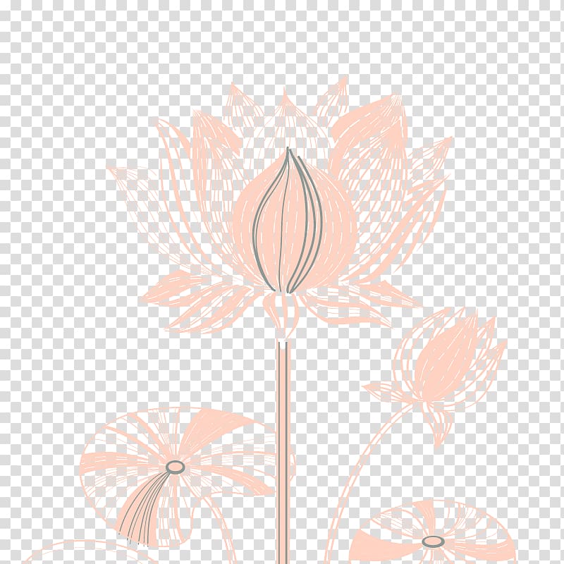 Floral design Petal Pattern, Creative line drawing lotus transparent background PNG clipart