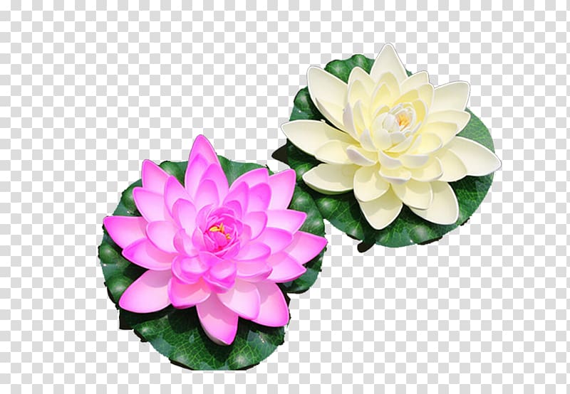 Water lily Nelumbo nucifera Artificial flower Lotus effect, Lotus water lamp transparent background PNG clipart
