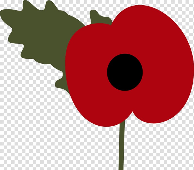 United Kingdom Armistice Day Remembrance poppy Remembrance Sunday, poppy transparent background PNG clipart